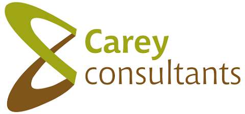 Carey consultants